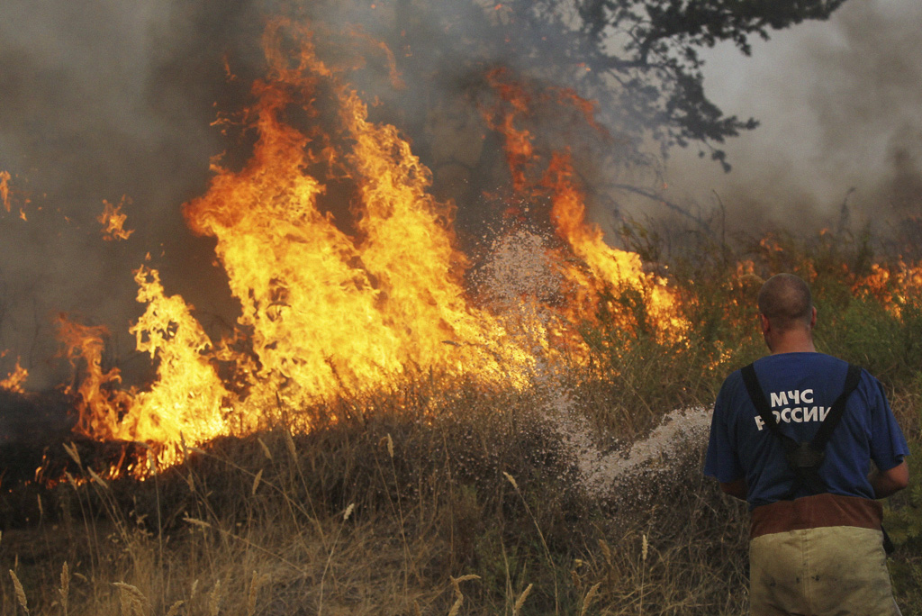 Иллюстрация к новости: Ученые оценили эффективность борьбы с лесными пожарами в регионах России
