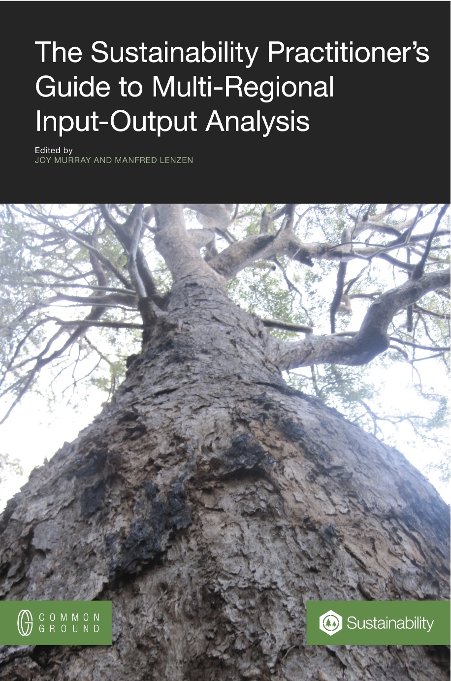 The Sustainability Practitioner’s Guide To Multi-Regional Input-Output Analysis