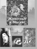 Животные в Москве: млекопитающие, птицы, пресмыкающиеся, земноводные, рыбы (колл. авт.)