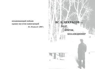 Вс. Н. Некрасов - поэт, критик, коллекционер