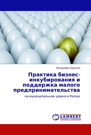 Практика бизнес-инкубирования и поддержка малого предпринимательства на муниципальном уровне в России
