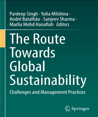 The route towards global sustainability. Challenges and Management Practices