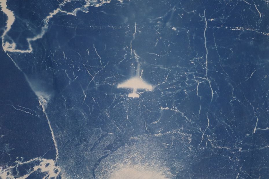 Surzhana Shirabdorzhieva. fly, 2024. Cyanotype. (a fragment of the artist's new work for the exhibition at HSE ART GALLERY on Paveletskaya)