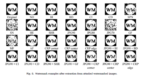 Fig. 3. Examples demonstrating watermark retention after various attacks and their combinations